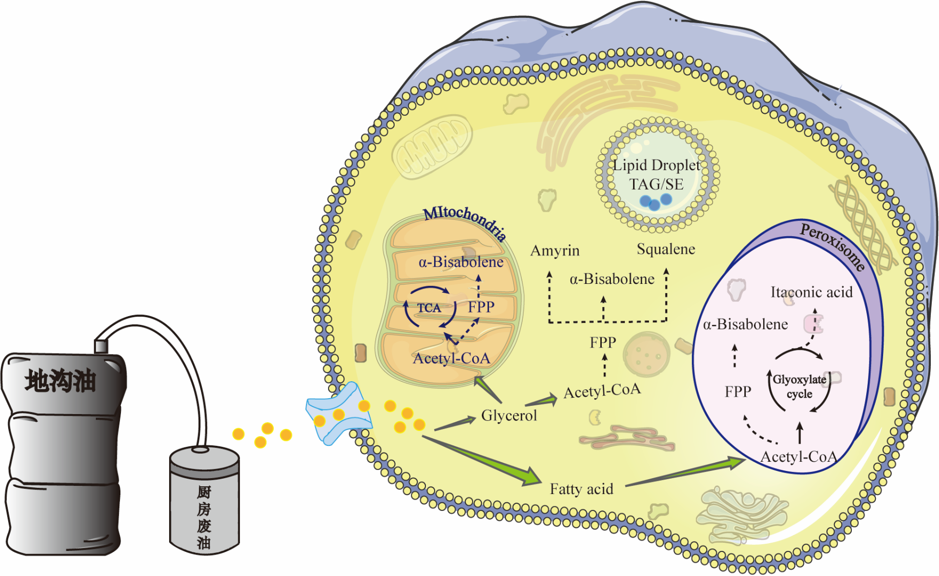 97d6e3a0b06a4aa99c04c773616b9742.png 97d6e3a0b06a4aa99c04c773616b9742.png